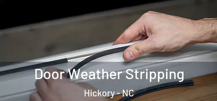 Door Weather Stripping Hickory - NC