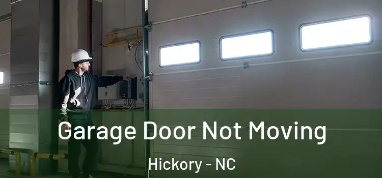  Garage Door Not Moving Hickory - NC