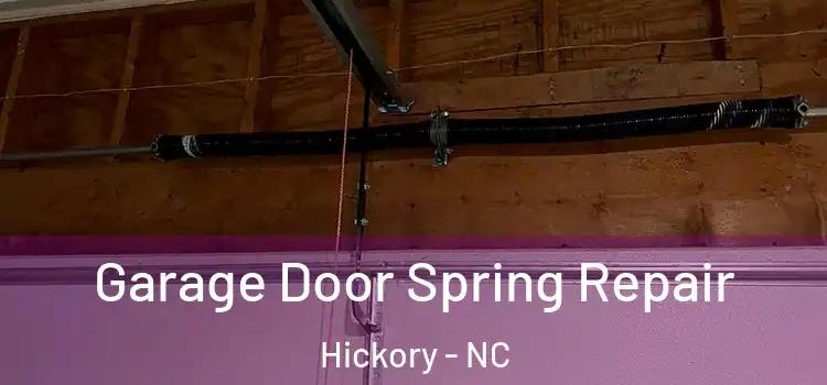  Garage Door Spring Repair Hickory - NC