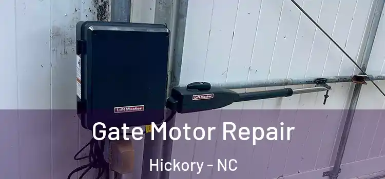 Gate Motor Repair Hickory - NC