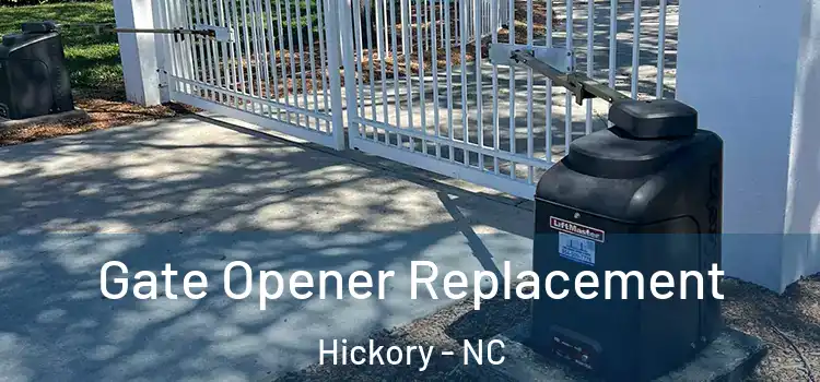 Gate Opener Replacement Hickory - NC