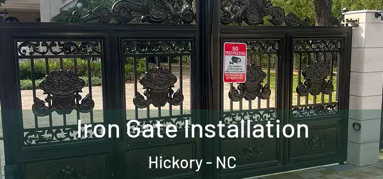 Iron Gate Installation Hickory - NC