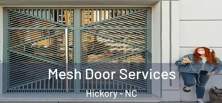  Mesh Door Services Hickory - NC