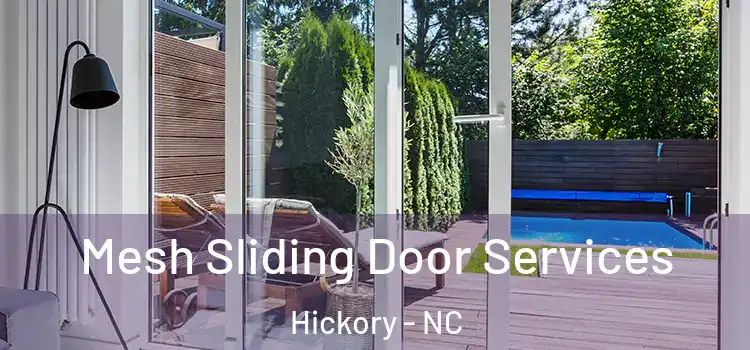  Mesh Sliding Door Services Hickory - NC