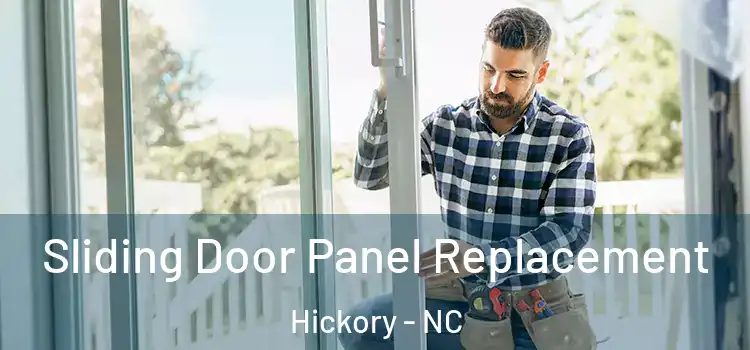  Sliding Door Panel Replacement Hickory - NC